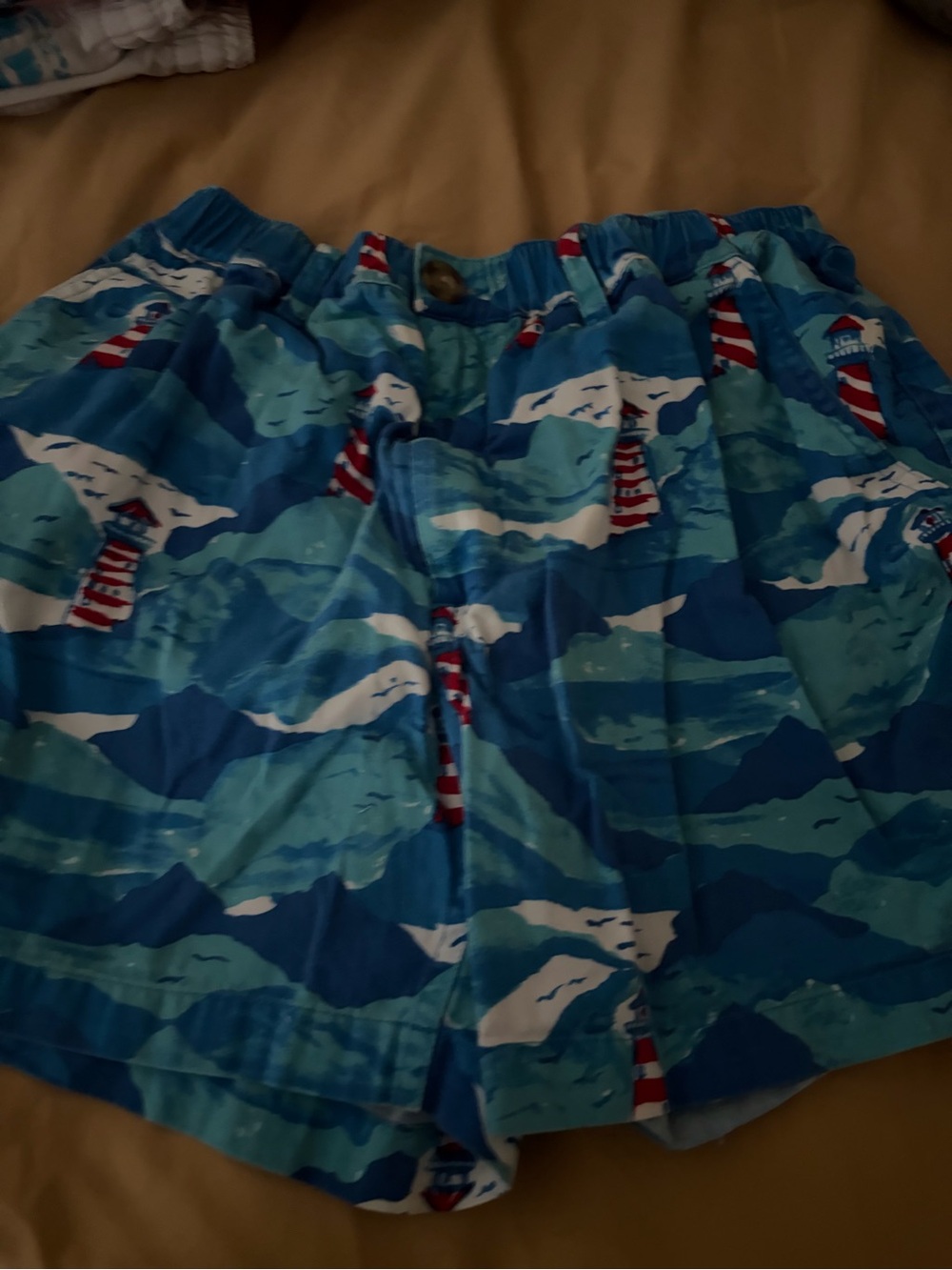 chubbies Blue & White Lighthouse Print Hybrid Shorts